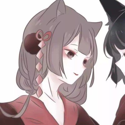 猫咪浑身带火冲进店铺求助